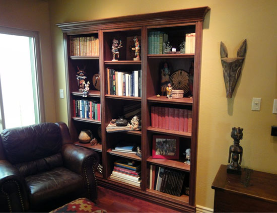 Bookcase built into old closet 